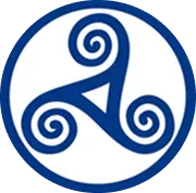 icone celtic taxi